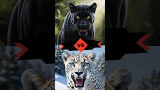 Black Panther VS Apex Predators Tiger Wolf Lion animal blackpanther tiger lion wolf [upl. by Llenrub]