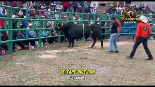 RANCHO EL AGUAJE EN PUACUARO MICHOACAN [upl. by Tutto]