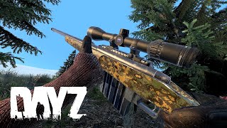 The SPECTACULAR revenge in DayZ [upl. by Koch]