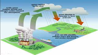 Sources of Energy Class 10 Complete Chapter [upl. by Meghan733]