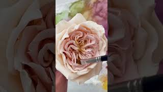 David Austin Rose 🌹 stepbystep course available [upl. by Fianna]