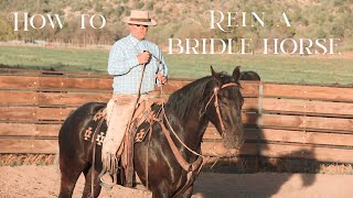 How to Rein a Bridle Horse in the Traditional Reins amp Romal [upl. by Assehc260]