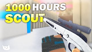 This is what 1000 HOURS on SCOUT looks like in Counter Blox [upl. by Eelyah126]