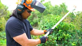 STIHL HTA 85 Cordless Pole Saw Pruner Review [upl. by Ayt]