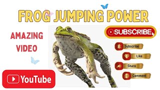 Frog Jumping  Frog Video  Frog Hunting [upl. by Airyt114]