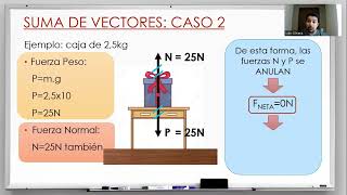 Suma de vectores colineales [upl. by Raines]