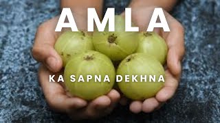 Sapne me amla dekhna ya khana II dream sapne amla facts [upl. by Yessydo482]