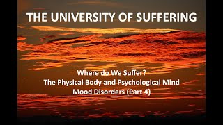 Mood Disorders Part 4 [upl. by Nirret]