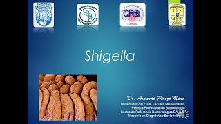 Tema 9 Shigella [upl. by Khalid]