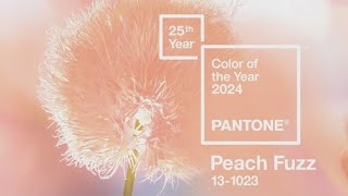 Pantone announces color of 2024 [upl. by Denoting393]