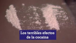 Los terribles efectos de la cocaína [upl. by Honora]