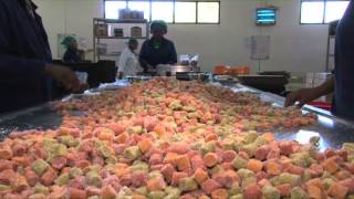 The dried fruit factory process [upl. by Margarethe]