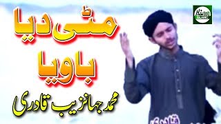 MITTI DEYA BAWIYA  MUHAMMAD JAHANZAIB QADRI  OFFICIAL HD VIDEO  HITECH ISLAMIC  BEAUTIFUL NAAT [upl. by Digirb]