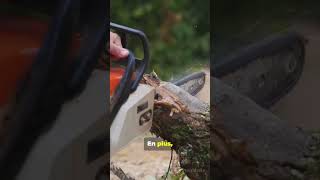 Quelle est la meilleure tronçonneuse Stihl  outils bricolage diy nettoyage [upl. by Lobel625]