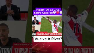 Nicolas De La Cruz Habla Maravillas de Gallardo🤍❤️ futbol riverplate parati viral viralvideo [upl. by Mini]