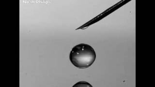 Watch the bouncing droplet [upl. by Leban]