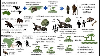 Sapiens De animales a dioses  Resumen animado  Capítulo 4 [upl. by Loar83]