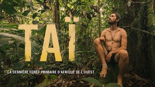 TAÏ  33 jours de Survie dans la dernière JUNGLE PRIMAIRE dAfrique de lOuest Le film [upl. by Nwahsud]