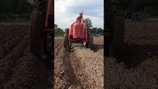 David Brown Cropmaster Tractor at Sheepy Ploughing Match  Sunday 29th September 2024 [upl. by Esenej]