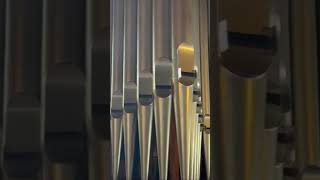 Worship an der Orgel Mannheim Steinmeyerin Shorts Steinmeyer Orgel [upl. by Anitnamaid846]