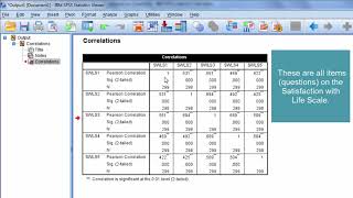 How to Interpret a Correlation Matrix [upl. by Ramat]