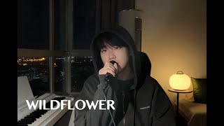 WILDFLOWER  Billie Eilish cover [upl. by Lombardy]