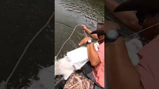 Alligator Fish Jumps In Boat to Attack Fisherman [upl. by Barren]