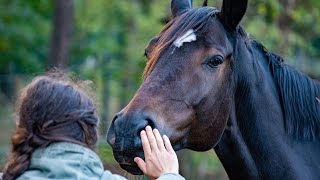 AS MELHORES DICAS DE COMO CRIAR CAVALOS NA ROÇA [upl. by Viridi]