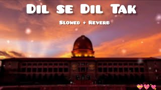 DIL SE DIL TAK  slowed  reverb NDA love songs 💘 [upl. by Weasner]