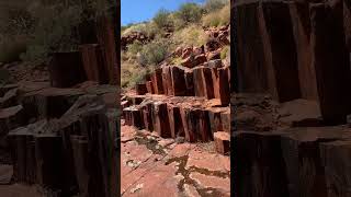 Rock Wallaby falls Gawler Ranges National Park [upl. by Diraf]