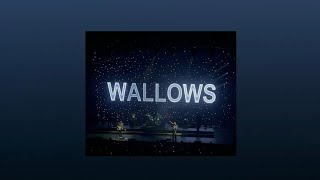 Wallows playlist [upl. by Colleen]