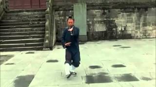 WUDANG San Feng TAIJI 28 Form [upl. by Wadell]