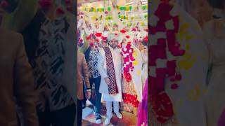 Ishaan Ali ki Dulhan🥰❤️ ​⁠ajazali11 ishaan shadi shorts [upl. by Leagiba]