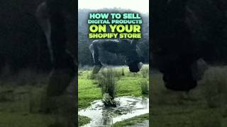 How to sell digital products on Shopify [upl. by Aramit119]