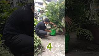 Magical homemade fertilizers  झूम उठेंगे पौधे बस ये जादूई चीजें डाल दो🥛🌿shorts viral gardening [upl. by Dittman]