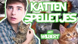 CAT MARIO RAGE   Katten spelletjes met Wilbert [upl. by Blackburn903]