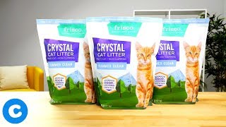 Frisco Crystal Litter  Chewy [upl. by Sillig901]