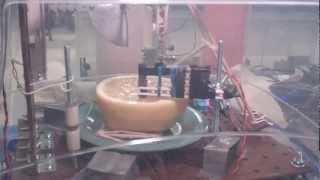 Automated grapefruit slicer [upl. by Sam]