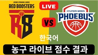 울산 현대모비스 피버스 vs 안양 정관장 레드부스터스  실시간 농구 점수 결과 2024 오늘 경기 [upl. by Ramah40]