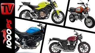 10 Motorräder mit niedriger Sitzhöhe 2016 [upl. by Idnat350]