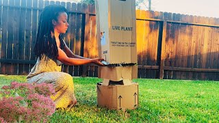 Special Delivery 📦 Unboxing and Planting My New 3 Gallon Temple of Bloom 🌳 [upl. by Aiek917]