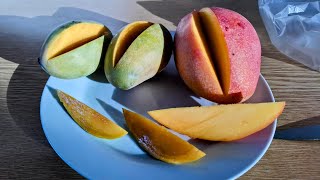 Mango Owais  Aweis  Ewais Awees from Egypt  sweetest in the World [upl. by Cathleen125]