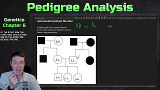 Pedigree Analysis  Genetics Ep 20 [upl. by Griffis625]