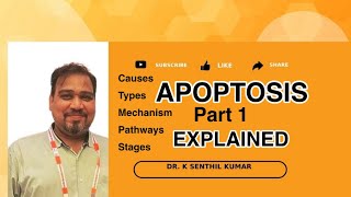 ApoptosisCauses TypesMechanismPathwaysStages [upl. by Eul]