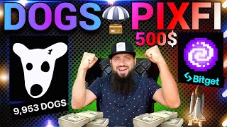 ПОЛУЧИЛ DOGS с НИХЕРА  НЕ ПРОПУСТИ bitget 👾PIXFI от PixelVerse 👾Что купить перед бычкой  🤑 [upl. by Rudin]