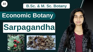 Economic Botany  Medicinal Plants  Sarpagandha  Rauvolfia serpentina  B Sc amp M Sc [upl. by Royall]