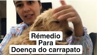 Remédio para doença do carrapato em cachorro Salva seu pet ❤️ [upl. by Eserehs]