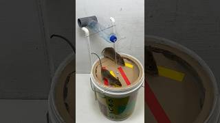 The most effective way to trap mice with a plastic bucket rat mousetrap shorts [upl. by Rednav607]