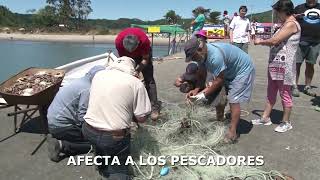 LEY LAFKENCHE FEREPA SE REUNE CON DIRIGENTES DE PESCADORES LOTA 11 3 2024 [upl. by Rafaelle]