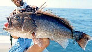 Monster Pacific Ocean Grouper Fishing [upl. by Attenev]